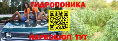 винт Лесосибирск