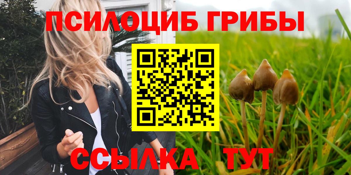 Псилоцибиновые грибы GOLDEN TEACHER  Вход с VPN  Клин 