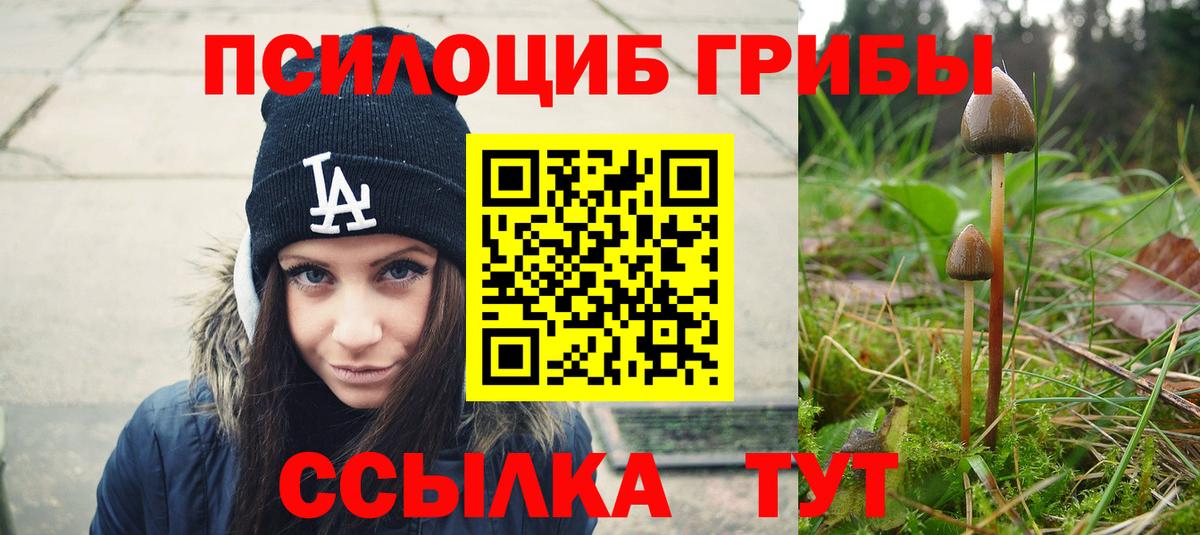 Галлюциногенные грибы Psilocybine cubensis Клин